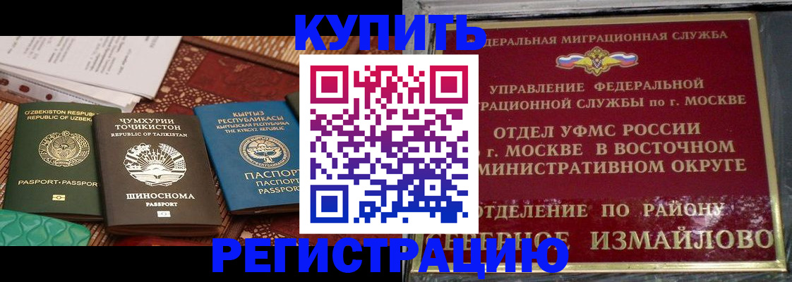 временная регистрация надежно в Камчатской области